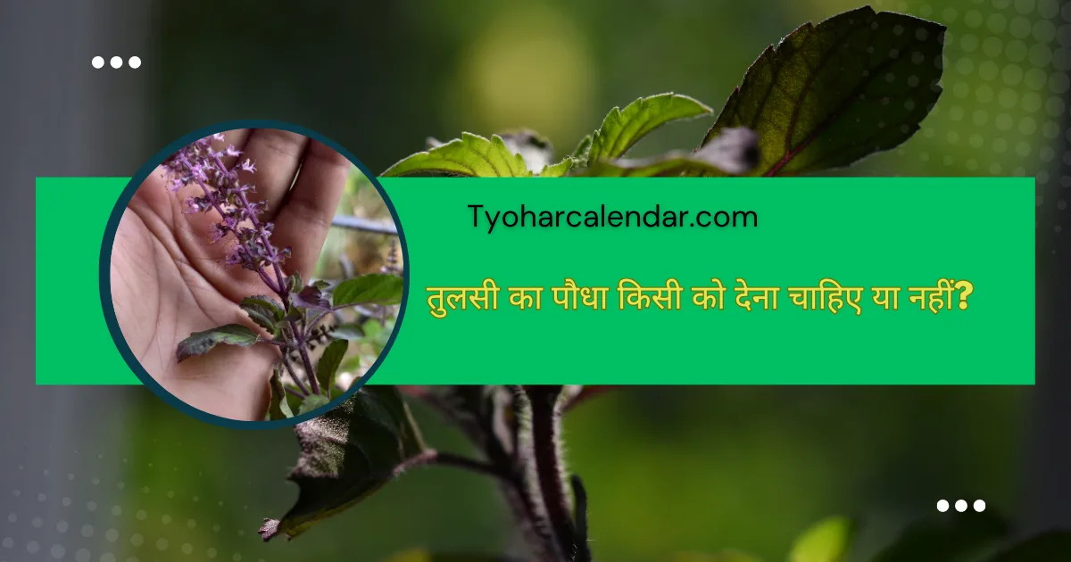 तुलसी का पौधा किसी को देना चाहिए या नहीं